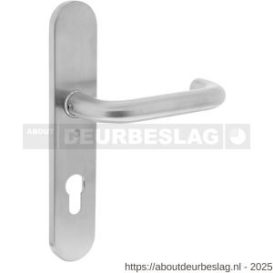Intersteel 0576 deurkruk gatdeel rechts Rond op schild verdekt ovaal 220x42 mm profielcilindergat 72 mm RVS - R26005270 - afbeelding 1