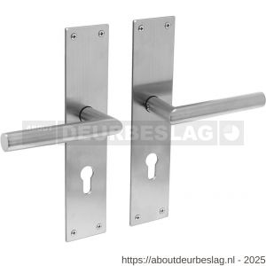 Intersteel 0583 deurkruk Jura met schild rechthoekig 250x55x2 mm profielcilindergat 72 mm RVS - R26008405 - afbeelding 1
