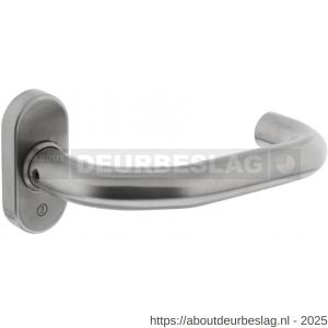 Intersteel 0767 deurkruk gatdeel Verkropt brandvertragend 9 mm op rozet verdekt ovaal 65x30x10 mm RVS - R26000957 - afbeelding 1