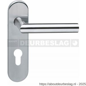 Intersteel Essentials 0774 deurkruk Jura brandvertragend met stift 9x9 mm op schild verdekt ovaal 176x46 mm profielcilindergat 72 mm RVS - R26000962 - afbeelding 1