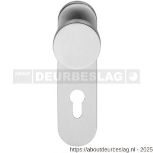 Intersteel 0778 knopschild ovaal verdekt brandvertragend 170x47x8 mm met vaste knop plat en wisselstift 9 mm profielcilindergat 72 mm RVS - R26000972 - afbeelding 1