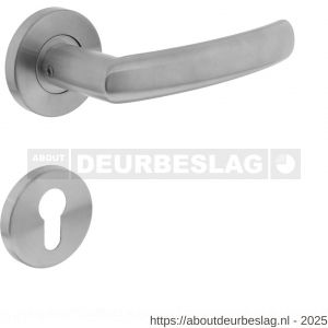 Intersteel 0906 deurkruk Blok op rozet verdekt diameter 55x8 mm met nokken en cilinderrozetten RVS - R26000573 - afbeelding 1