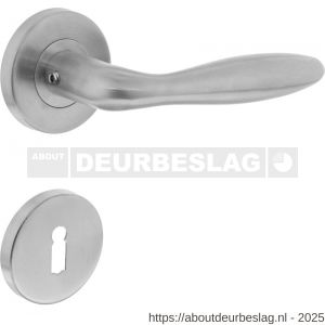Intersteel 1013 deurkruk Jupiter op rozet verdekt diameter 55x8 mm met nokken en sleutelrozetten RVS - R26005494 - afbeelding 1