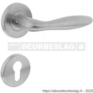 Intersteel 1013 deurkruk Jupiter op rozet verdekt diameter 55x8 mm met nokken en cilinderrozetten RVS - R26005495 - afbeelding 1