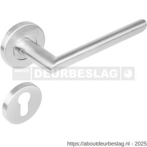 Intersteel 1273 deurkruk Ovaal-90 graden op rozet verdekt diameter 53x8 mm met nokken en cilinderrozetten RVS - R26005592 - afbeelding 1