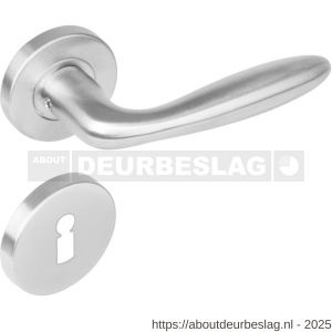 Intersteel 1281 deurkruk Jupiter op rozet verdekt diameter 53x8 mm met nokken en sleutelrozetten RVS - R26000628 - afbeelding 1