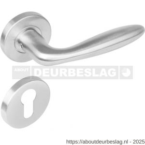 Intersteel 1281 deurkruk Jupiter op rozet verdekt diameter 53x8 mm met nokken en cilinderrozetten RVS - R26000627 - afbeelding 1