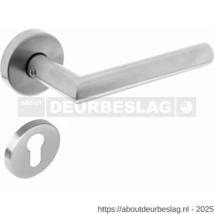 Intersteel 1951 deurkruk Jura met rozet verdekt ATP diameter 51x10 mm met nokken en cilinderrozetten RVS - R26005804 - afbeelding 1