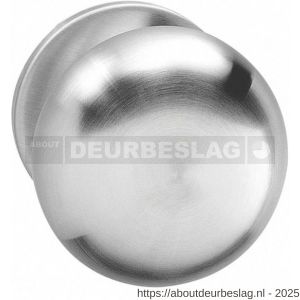 Intersteel 2165 knop Paddenstoel vast op rozet verdekt 4 mm RVS - R26001003 - afbeelding 1