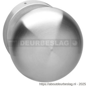 Intersteel 2165 knop Paddenstoel vast op rozet 10 mm met nokken RVS - R26001004 - afbeelding 1