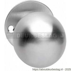 Intersteel 2165 knop bol vast op rozet 2 mm RVS - R26000996 - afbeelding 1