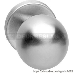 Intersteel 2165 knop bol vast op rozet 10 mm verdekt RVS - R26000998 - afbeelding 1