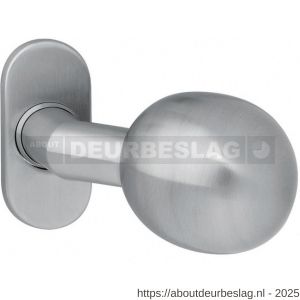Intersteel 2165 knop bol-schuin vast op rozet ovaal 4 mm RVS - R26001001 - afbeelding 1