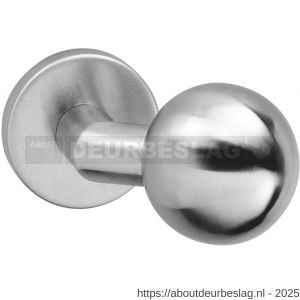Intersteel 2165 knop bol-schuin vast op rozet verdekt 10 mm RVS - R26007404 - afbeelding 1