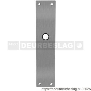 Intersteel 2688 schild renovatie rechthoekig 250x55x2 mm blind RVS - R26005852 - afbeelding 1