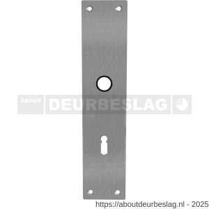 Intersteel 2688 schild renovatie rechthoekig 250x55x2 mm sleutelgat 72 mm RVS - R26005854 - afbeelding 1