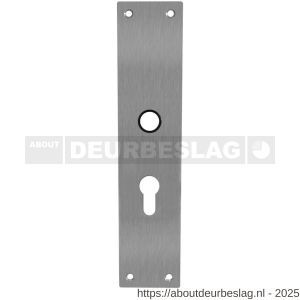Intersteel 2688 schild renovatie rechthoekig 250x55x2 mm PC55 RVS - R26007070 - afbeelding 1