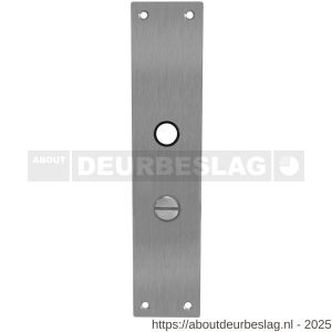 Intersteel 2688 schild renovatie rechthoekig 250x55x2 mm WC63/8 mm RVS - R26005858 - afbeelding 1