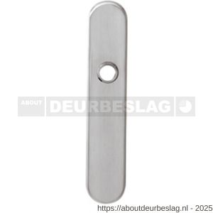 Intersteel 2696 schild ovaal verdekt 220x42 mm WC72/8 mm RVS - R26003076 - afbeelding 1