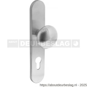 Intersteel 2697 knopschild ovaal verdekt 220x42x8 mm met nokken en vaste knop Paddenstoel profielcilindergat 72 mm RVS - R26003303 - afbeelding 1