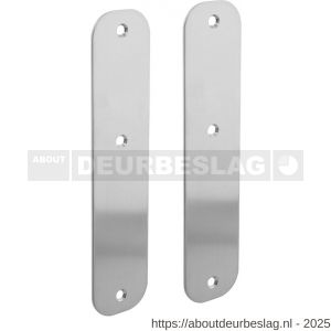 Intersteel 2698 schild plat afgerond 190x42x2 mm geheel blind RVS - R26002904 - afbeelding 1