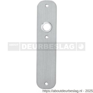 Intersteel 2698 schild plat afgerond 190x42x2 mm WC72/8 mm RVS - R26002921 - afbeelding 1
