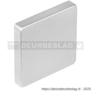 Intersteel 3510 afdekrozet verdekt 53x53x8 mm met nokken RVS - R26002400 - afbeelding 1