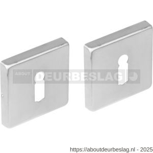 Intersteel 3510 sleutelrozetten verdekt 53x53x8 mm met nokken RVS - R26011383 - afbeelding 1