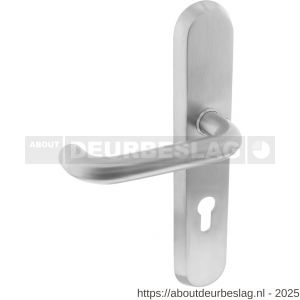Intersteel 3784 SKG3 veiligheid buitenschild ovaal 250x50 mm met kruk Rond met veerconstructie profielcilindergat 72 mm RVS - R26008589 - afbeelding 1