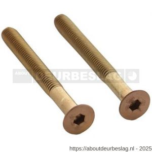 Intersteel 9904 set van 2 bouten zeskant M5x48 mm RVS PVD koper mat - R26011316 - afbeelding 1