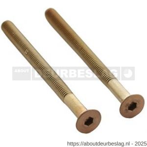 Intersteel 9904 set van 2 bouten zeskant M5x65 mm RVS PVD koper mat - R26011317 - afbeelding 1
