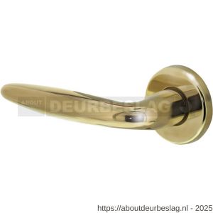Intersteel 0199 deurkruk gatdeel links Sigaar op rozet verdekt diameter 49x7 mm PVD messingkleur - R26001569 - afbeelding 1