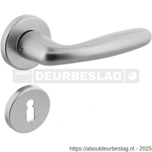 Intersteel 0072 deurkruk Sigaar met rozet verdekt diameter 50x7 mm met nokken en sleutelrozetten aluminium F1 - R26006474 - afbeelding 1
