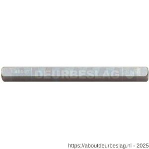 Intersteel 9752 stift beide zijden hol 8x110 mm - R26000883 - afbeelding 1