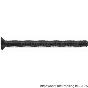Intersteel 9901 bout zeskant M6x90 mm 10.9 voor SKG3 beslag blank (zwart) - R26000801 - afbeelding 1