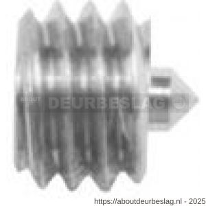 Intersteel 9904 inbusboutje met punt M6x4 mm - R26000839 - afbeelding 1