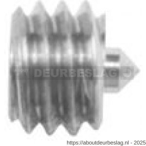 Intersteel 9904 inbusboutje met punt M6x6 mm - R26000840 - afbeelding 1