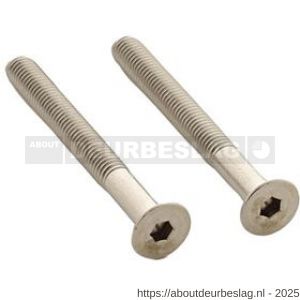 Intersteel 9904 set van 2 bouten zeskant M5x48 mm RVS - R26011318 - afbeelding 1