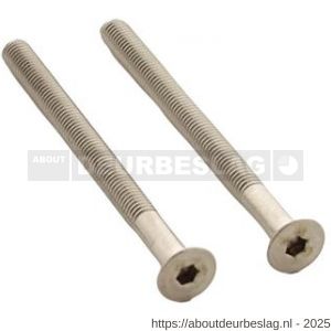 Intersteel 9904 set van 2 bouten zeskant M5x65 mm RVS - R26011319 - afbeelding 1