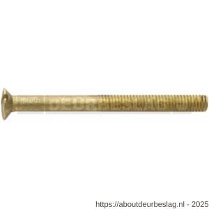 Intersteel 9905 patentbout M4x45 mm messing - R26007367 - afbeelding 1