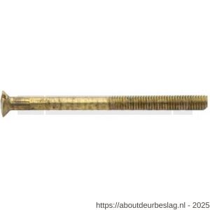 Intersteel 9905 patentbout M4x55 mm messing - R26000847 - afbeelding 1
