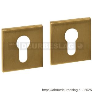 Intersteel Essentials 1030 cilinderrozetten verdekt 53x53x6 mm PVD messing mat - R26010995 - afbeelding 1