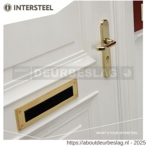 Intersteel Living 3821Z SKG3 veiligheidsbeslag ovaal verdekt 252x54 mm kruk-kruk Rond profielcilindergat 72 mm met kerntrekbeveiliging messing ongelakt - R26009069 - afbeelding 2
