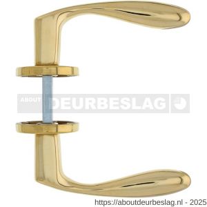Intersteel Living 0201 deurkruk Banaan met rozet verdekt diameter 49x7 mm messing ongelakt - R26007891 - afbeelding 2