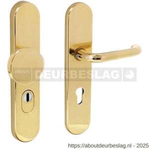 Intersteel Living 3820 SKG3 veiligheidsbeslag ovaal verdekt 252x54 mm greep-kruk Rond profielcilindergat 72 mm met kerntrekbeveiliging messing ongelakt - R26003422 - afbeelding 1