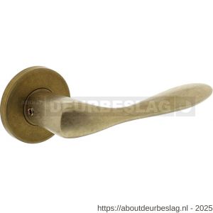 Intersteel Living 0201 deurkruk Banaan met rozet verdekt diameter 49x7 mm messing getrommeld - R26007900 - afbeelding 1