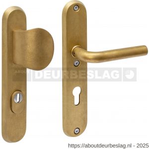 Intersteel Living 3788 SKG3 veiligheidsbeslag ovaal 250x50 mm greep-kruk Luzern met veerconstructie profielcilindergat 72 mm met kerntrekbeveiliging PVD messing getrommeld - R26010937 - afbeelding 1