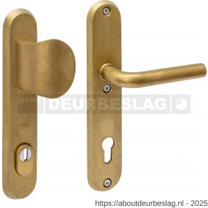 Intersteel Living 3788 SKG3 veiligheidsbeslag ovaal 250x50 mm greep-kruk Luzern met veerconstructie profielcilindergat 92 mm met kerntrekbeveiliging PVD messing getrommeld - R26010936 - afbeelding 1