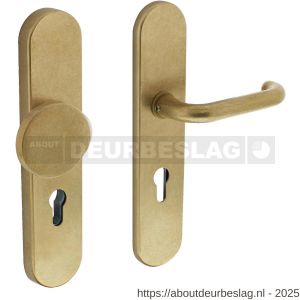 Intersteel Living 3846 SKG3 veiligheidsbeslag ovaal verdekt 252x54 mm greep-kruk Rond profielcilindergat 72 mm messing getrommeld - R26003465 - afbeelding 1
