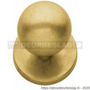 Intersteel Living 3930 voordeurknop bolrond diameter 50 mm op achterplaat diameter 66 mm messing getrommeld - R26001025 - afbeelding 1